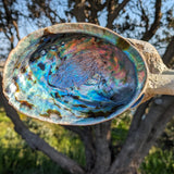 Paua Wind Sculpture