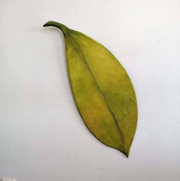 Ngaio Tree Leaf