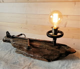 Ark Light