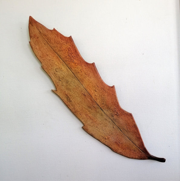 Pseudopanax Tree Leaf